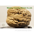 geoogst en verwerkt in Yunnan Mountains